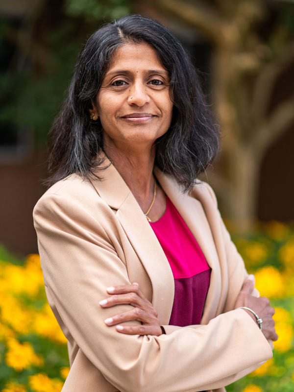 Parthasarathi, Pavithra